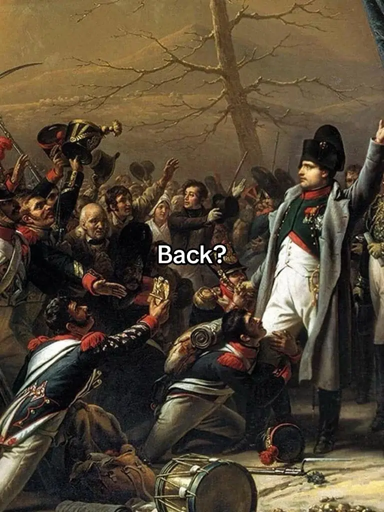 #napoleon #napoleonbonaparte #history #historytok #france #theresnothingwecando 