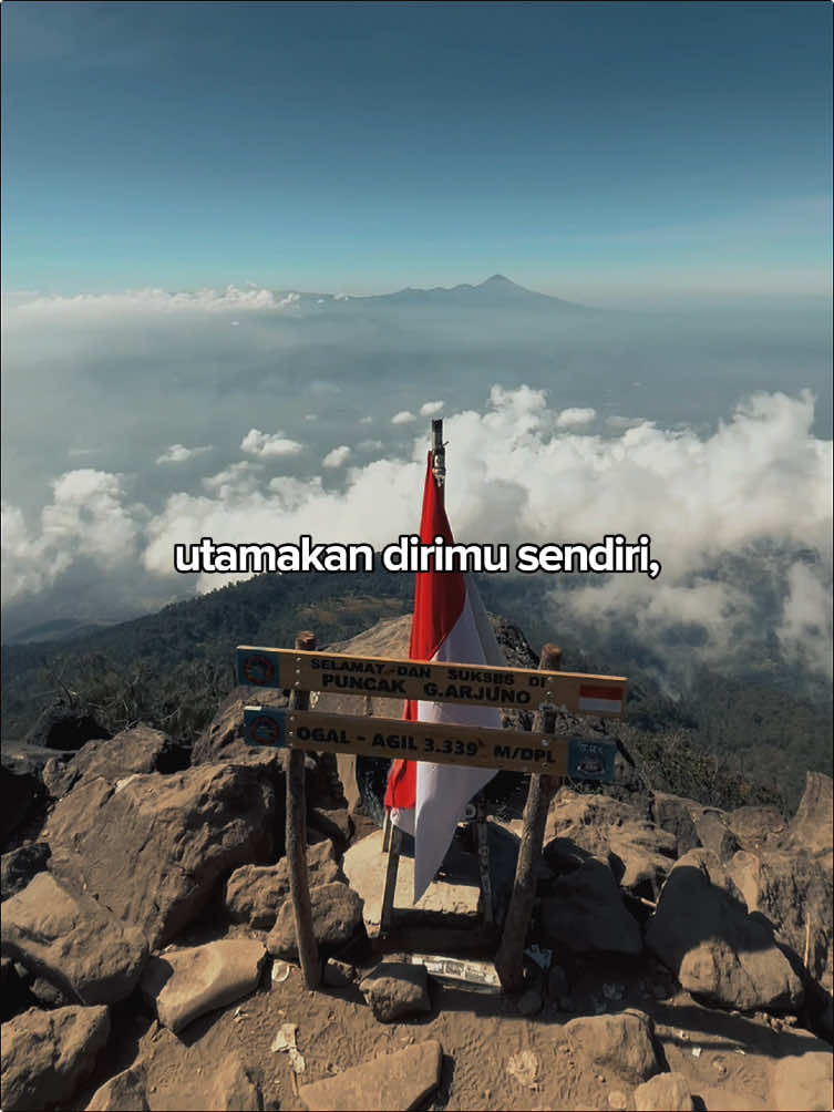 #CapCut 