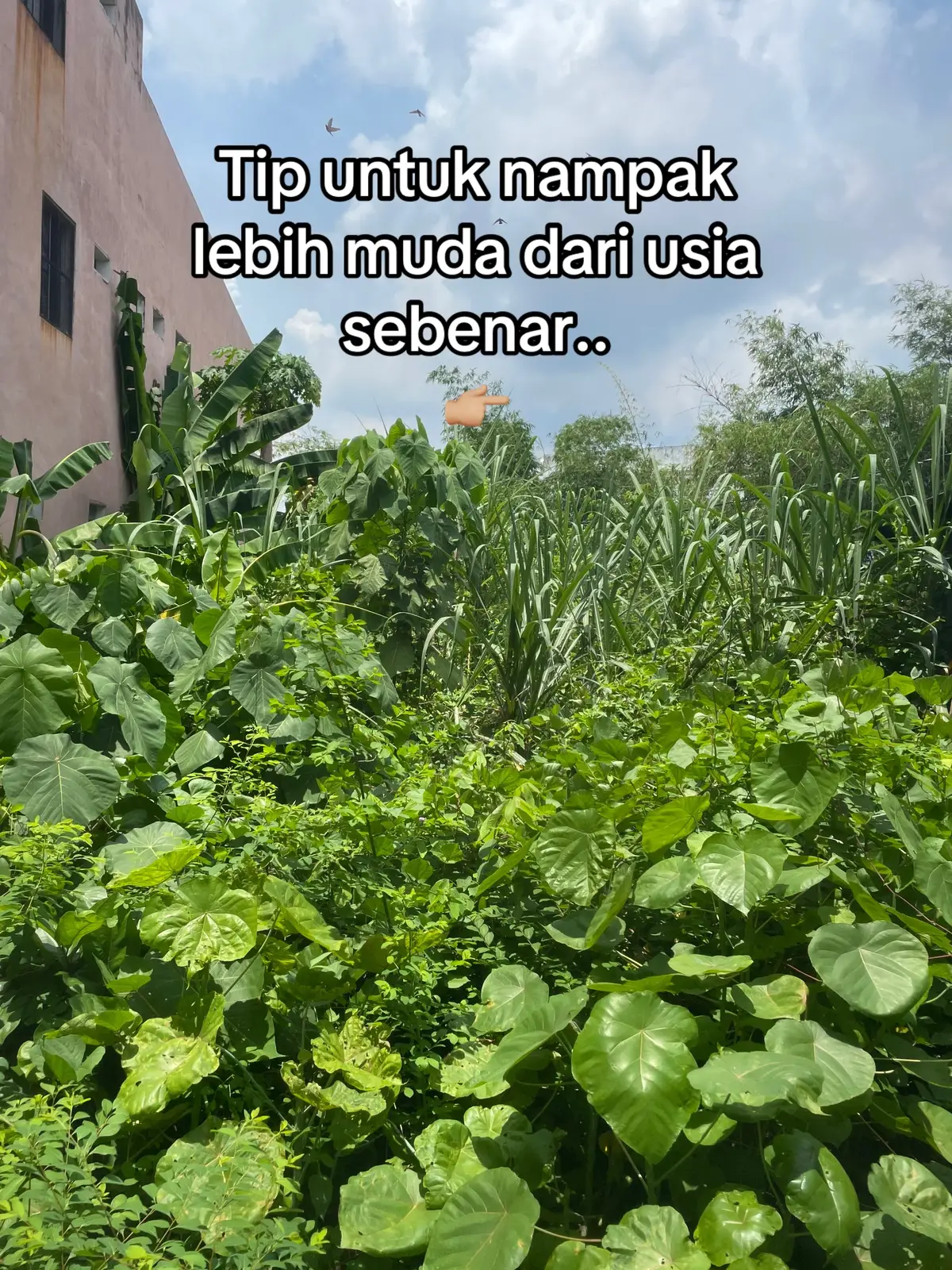 Tip agar kelihatan lebih muda 😌