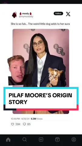 Sources are saying that Pilaf weighs about the size of a baguette so he’s a great accessory for the Substance press tour #demimoore #margaretqualley #ashtonkutcher #charlixcx #sweattour 