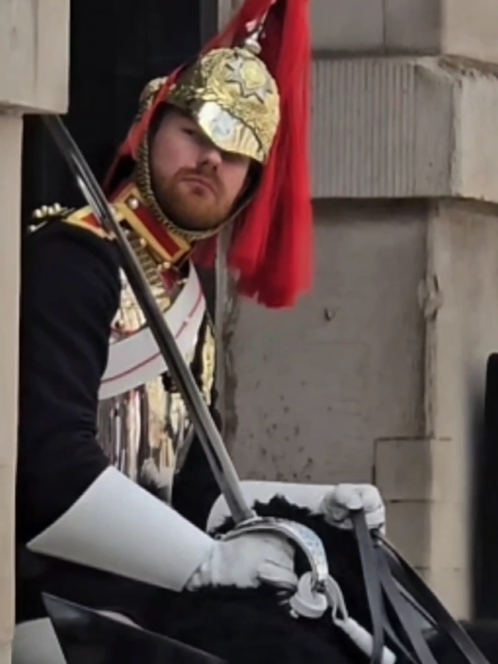 #horse #kingsguard #fyp #bluesandroyals #horseguardsparade #bluesandroyals #fyp #kingsguard #horse #london 