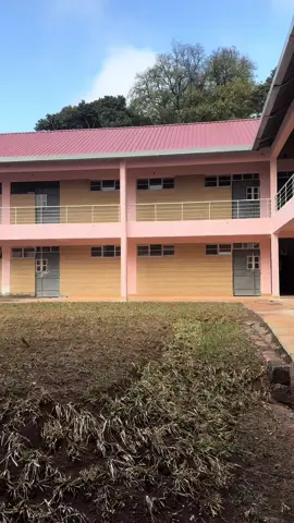 5 months in we are are building a new school from ground up! We will be done in 2 months! 4 streams classes, 600 capacity dormitory, library, 2000 capacity hall , swimming pool , indoor games, modern kitchen! Welcome to Langata!