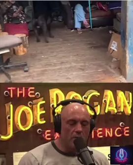 Joe rogan talks about the whittakers-americas most inbred family #joerogan #interview #shocking #scary #america @JoeRogan @Joe Rogan Experience 
