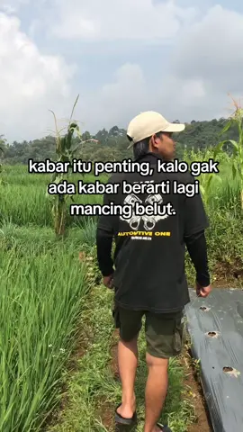 p info sawah baru tanam padi #ngurekbelut #mancingbelut #belut #belutsawah #mancing #fyp #mancingmania #fypage #foryou #lewatberanda 