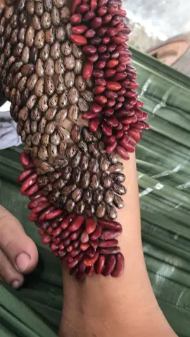 Oh my leg has thousands of ticks sucking blood, it's so scary#asmrsounds#trending