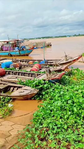 Sông nước miền tây mùa nước nổi 😊 #66đồngtháp #mientay  #songnuoc #cảnhđẹp 