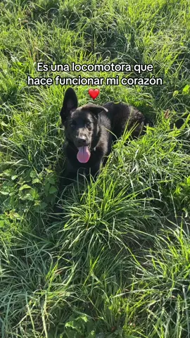 Espero que el lo sepa