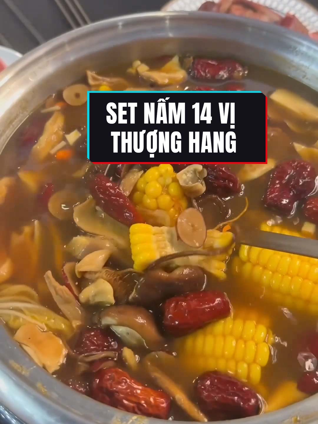 Set nấm 14 vị món ngon bổ dưỡng cho cả nhà #setnam14vi #nam #lau #namtuoi #setnam#xyzbcab #learnontikok #viral?tiktok🥰 #nauan
