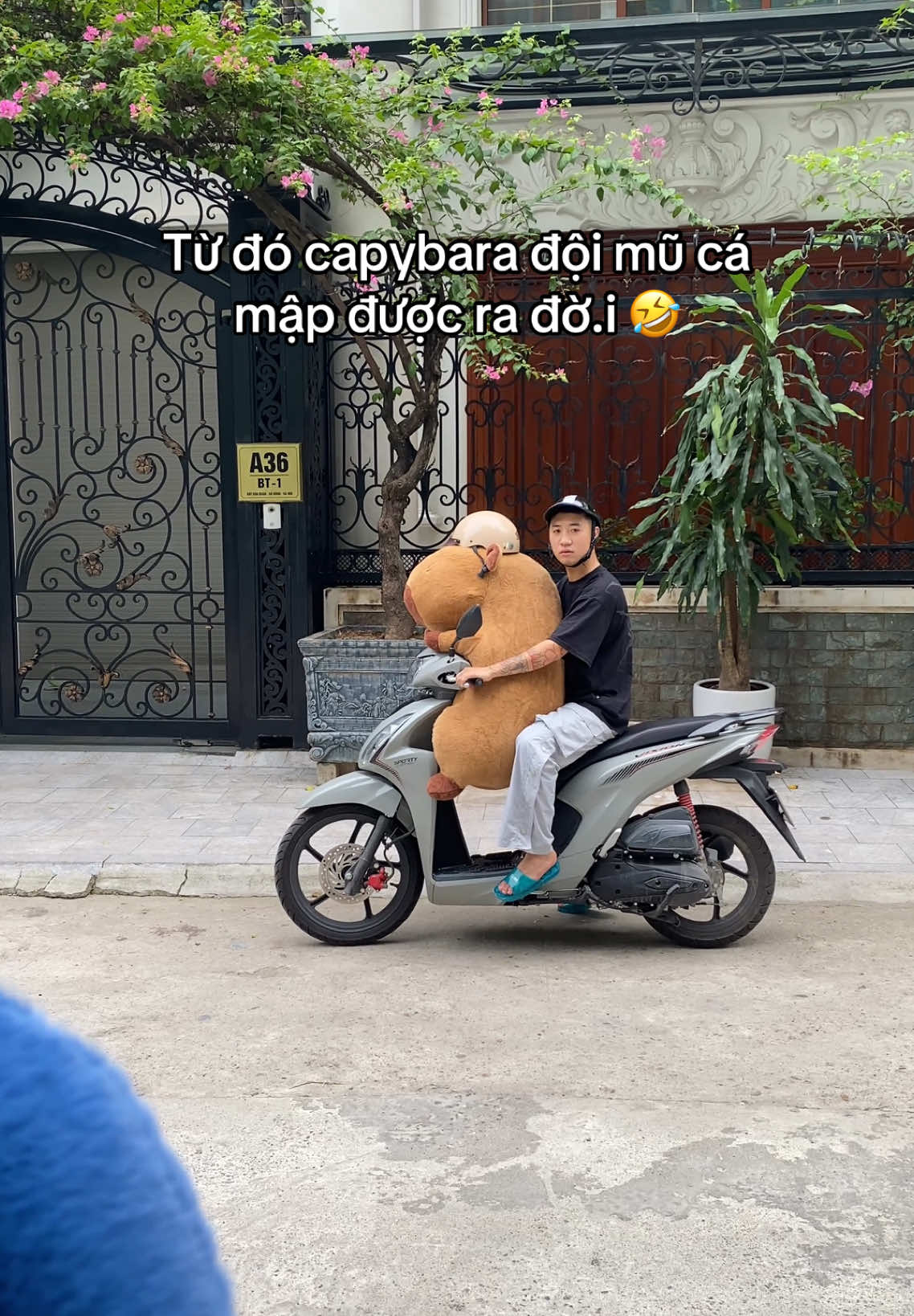 Tưởng cảm động hoá ra cảm lạnh 🤣 #bemori #gaubong #capybara #loveyou 