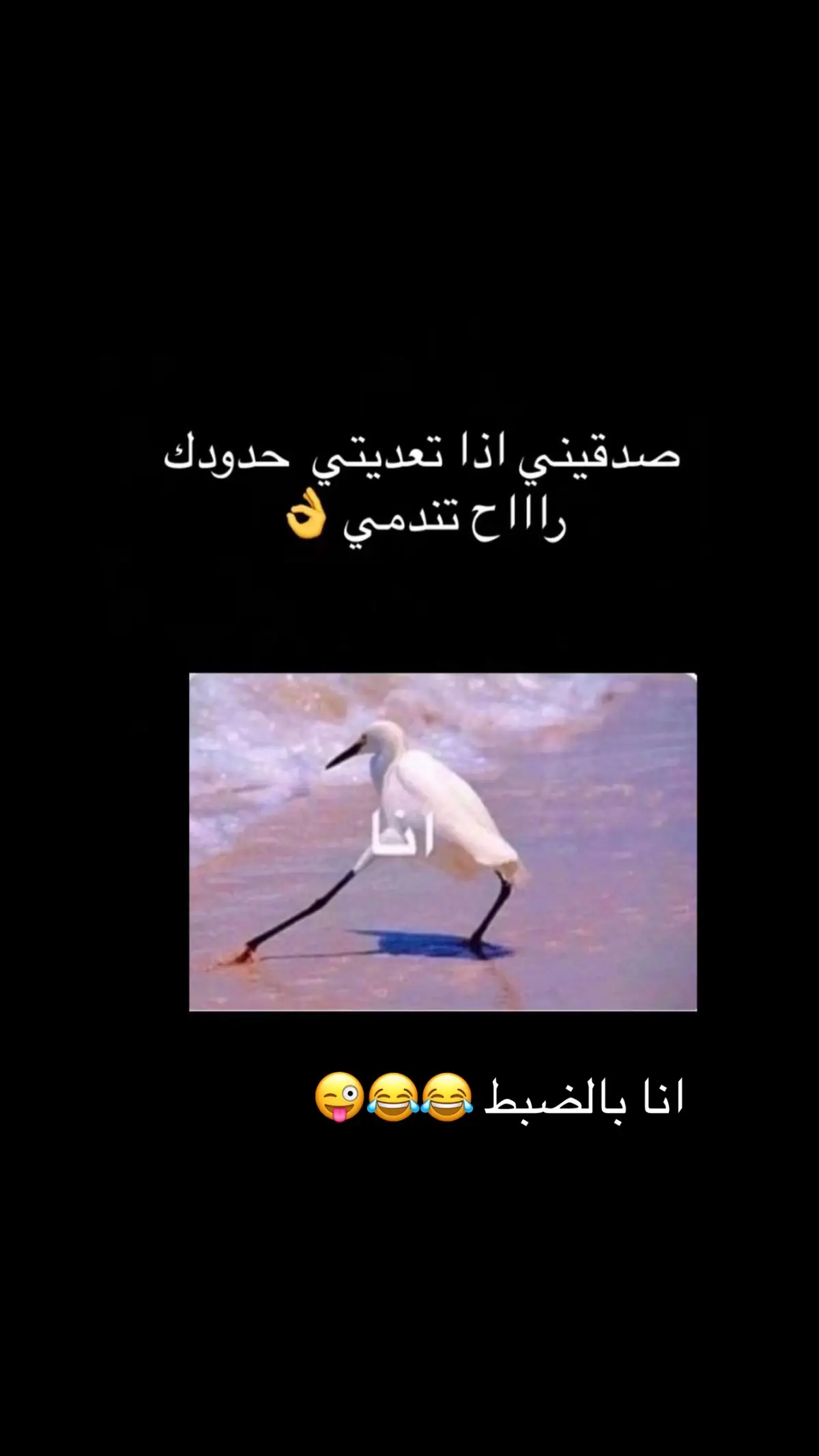 #الشعب_الصيني_ماله_حل😂😂 