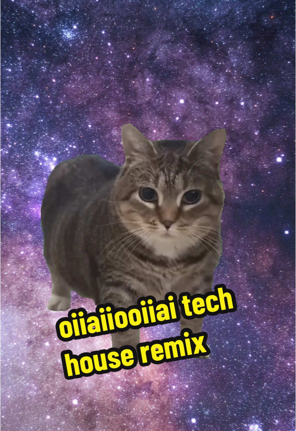 oiiaiiooiiai 🐈🕺#oiiaiiooiiai #cat #catspinning #meme #edit #remix #tiktokmusic #viralvideos #techno #fypforyou 