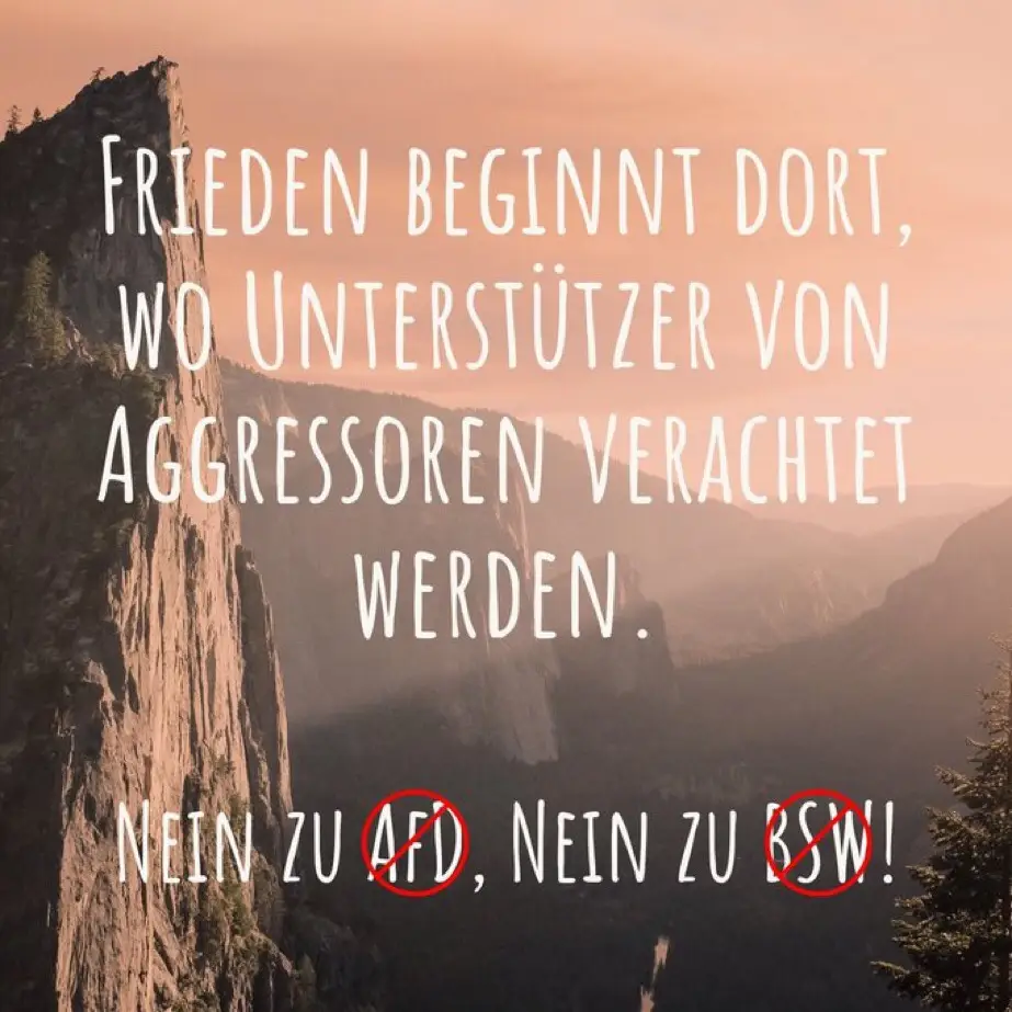 .. wählt keine Kommunisten und keine Vaterlandsverräter. #fyp #fürdich #fds #foryou #foryoupage #viral #viralvideo #deutsch #deutschland #AfD #BSW 