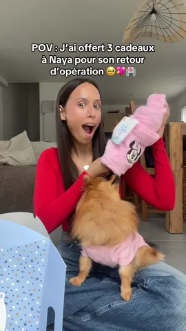 C’est le retour des vidéos de Naya 🥹💖 #pomeranian #spitz #maison #couple #unboxing #cadeau #bebe #construction #drole #foryou 