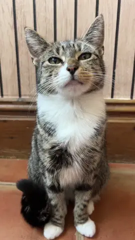 Who won? #animals #pets #cute 