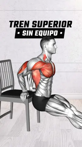 Rutina de Pectorales, Hombros y Tríceps en casa. 💪 #ejercicios #ejerciciosencasa #rutinas #pecho #hombros #triceps #chestday 