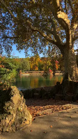 If you’re looking for a relaxing spot to admire the autumn foliage in Italy, Parco del Valentino in Turin is the answer! 🐿️ #italy #travel #italyaesthetic #slowtravel #italytravel #parcodelvalentino #turinitaly #autumninitaly 