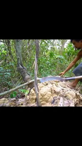 Part 2- Building Secret Jungle Villa with bare hands. #building #bushcraft #jungle #villa #survival #Outdoors #forest #shelter 