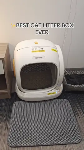 Never go back to scooping litter!#cat #littlebox #pet 