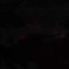 Millicent's quest is amazing. #millicenteldenring #eldenring #eldenringedit #scarletrot #maleniabladeofmiquella #vaatividya  some clips are by VaatiVidya on youtube from the Children of the Scarlet Rot, others are by DS Cinematics on youtube. 