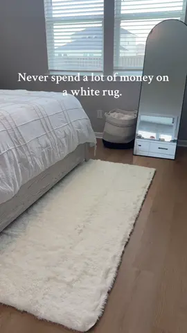 Never spend a lot on a white rug! 