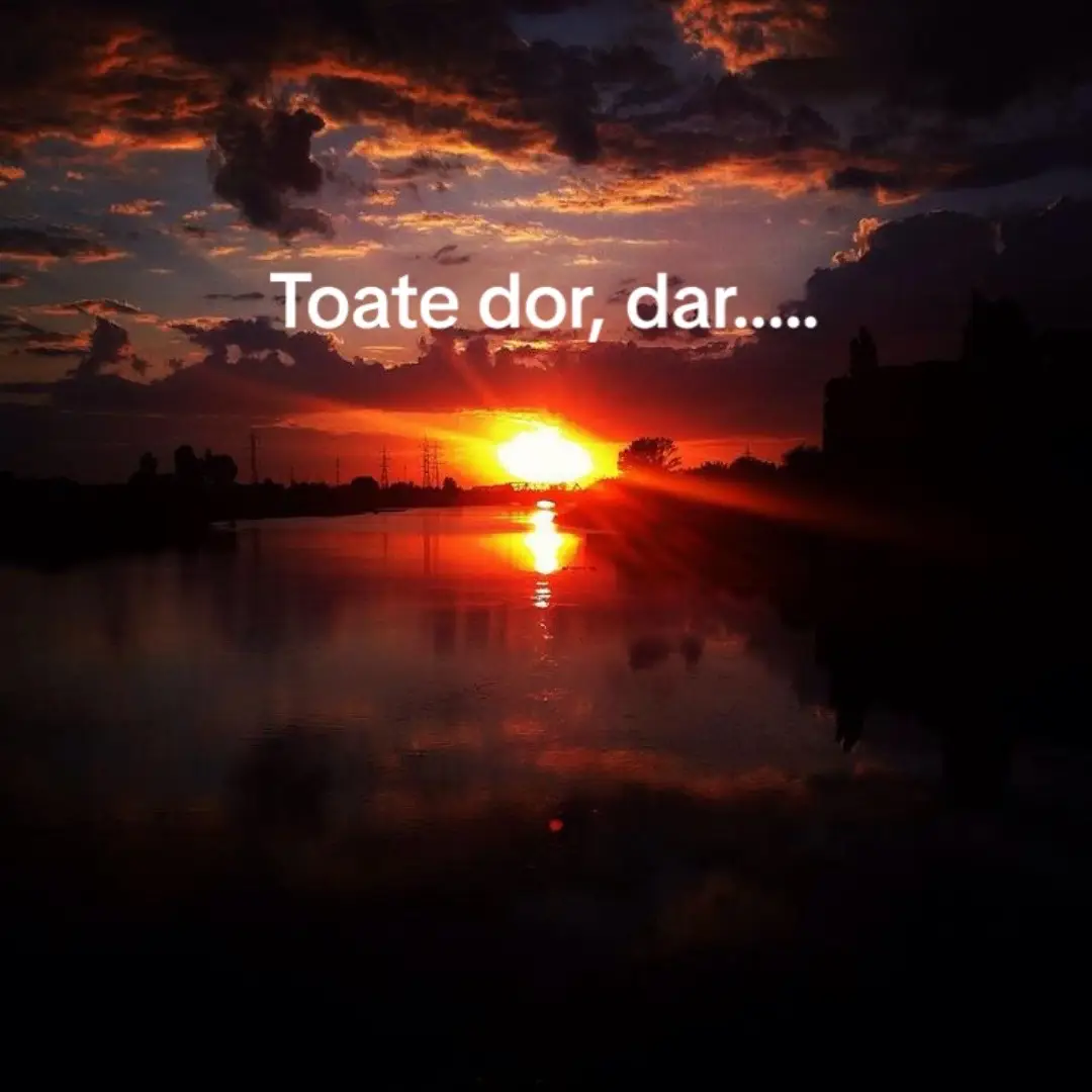 #foryoupage #viralvideo #🥀💔 #fyp #durerea_nu_trece💔💔🥺😖😭🤧 #fyp #foryou #💔 #solo #sadsong #real #🥺 #sadvibes🥀 #slowsuave #viral #realvideo #สโลว์สมูท #fy #🐶💔 #tevoiiubimereu🕊 #puiumeumicsidrag🐶💔 #dorulmeucelmaimare🥺💔 #miedordetineinfiecarezi💔 #itiduclipsa🥺 
