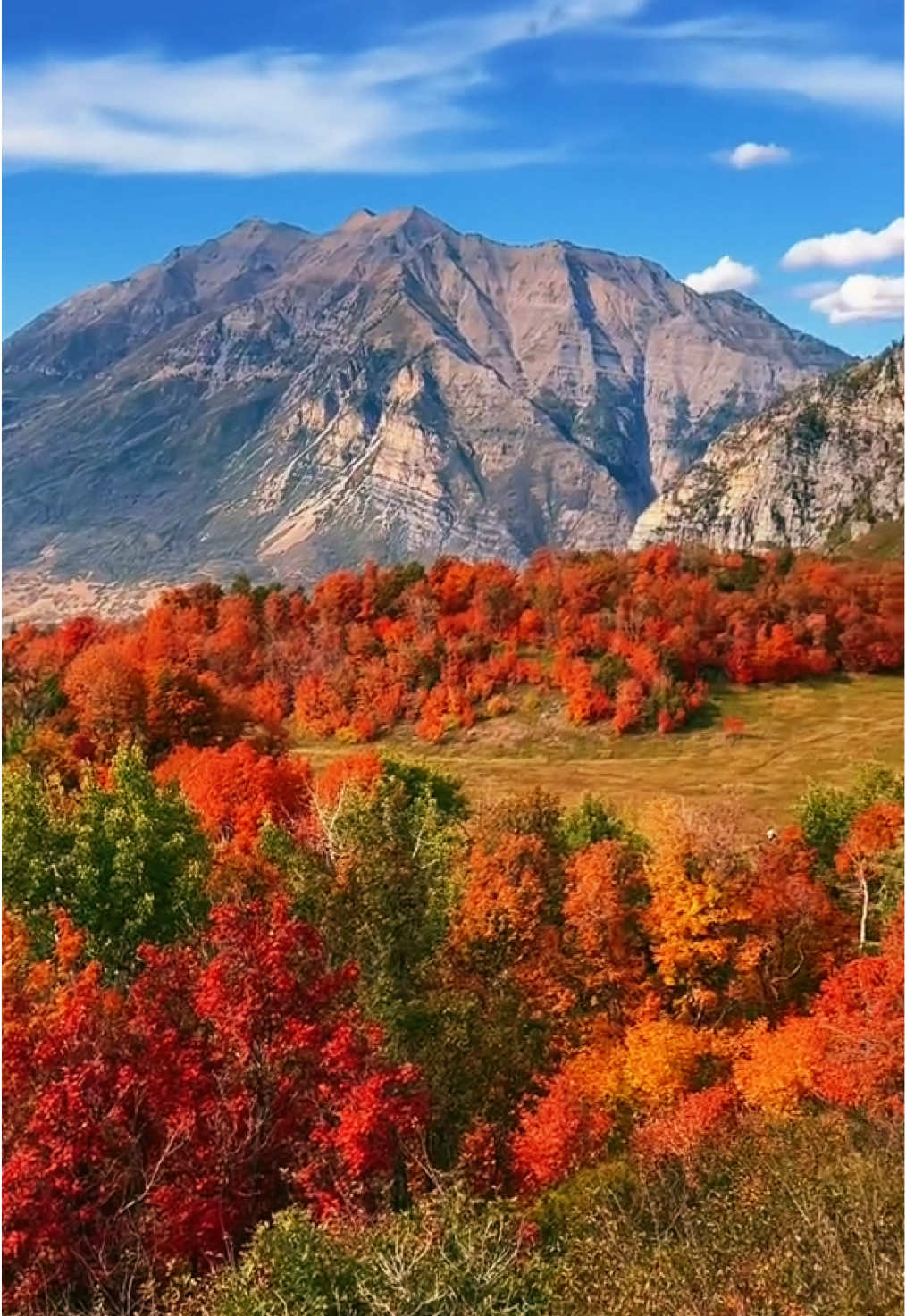 Where perfection exisits ⛰️ #naturecure #naturevibes #mountains #naturetiktok #utah #fall