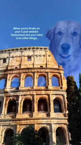 They’re coming next time 🥹  #dogsoftiktok #dogmom #goldenretrieverlife #goldenretriever #italytiktok 