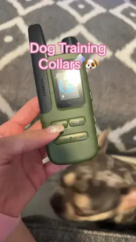 Dog Training Collars 🐾 #jugbow #dogtrainingcollars #foryoupage❤️❤️ 