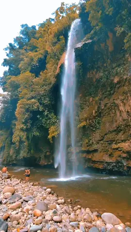 #catarataderrepente #tingo #tingomaria_perú💚 #peru #viajero #turismoperu #selvita💚🦋 #huanuco_perú🇵🇪  RIO DERREPENTE Y SUS CATARATAS Las Cataratas del Rio Derrepente, se encuentra ubicada a la margen izquierda del Río Huallaga, al Sureste del distrito de Mariano Dámaso Beraún y a 26 km de Tingo María. Este rio baja de los afluentes de las partes altas de la cordillera de Carpish.  ¿COMO LLEGAR? se debe emprender una caminata de 4 kilómetros desde el pueblo de Cayumba por la ribera del Río Derrepente, posteriormente pasar por las playas de arena fina, por rumas de piedras, por frondosa vegetación y se tiene que cruzar el río ocho veces.