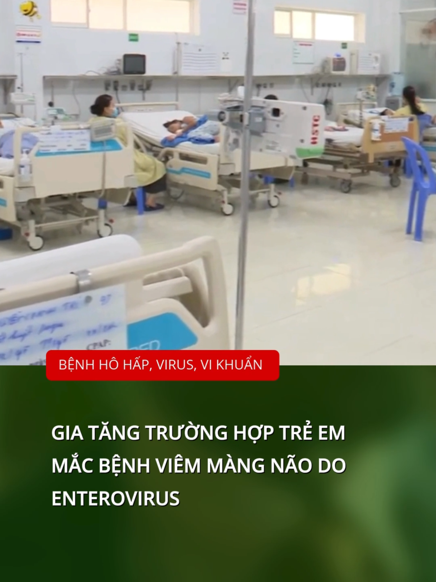 Gia tăng trường hợp trẻ em mắc bệnh viêm màng não do Enterovirus! #bsvg #bacsivinhgia #viemmangnao #enterovirus #tintuc #yte