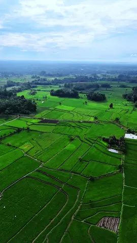 Village Vibes🌾 #dji #djiindonesia #djimini4pro #dronecinematic #natureviews 