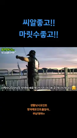 능포낚시공원!사이즈좋고!!마릿수좋고!!#갈치#전갱이#갈치회#부남대여tv