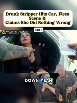 Drunk Stripper Hits Car, Flees Scene & Claims She Did Nothing Wrong part 3
