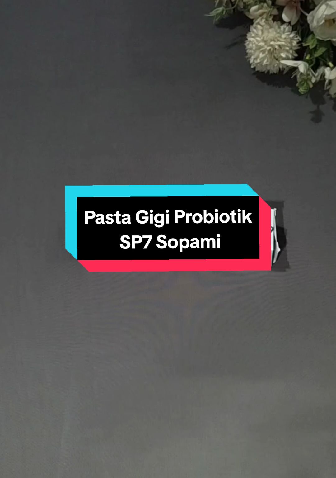 #pastagigi #pastagigipemutih #pastagigisp7 #pastagigisopami #racuntiktok 