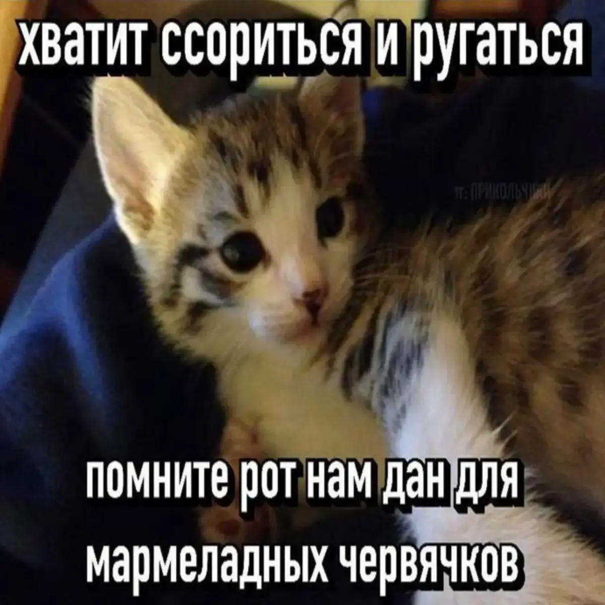 купите мне мармеладки пжлст #fyr #fyp #on #hellotiktok #ыы #хештег 