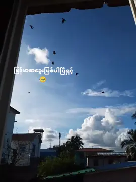 တယ်ကယ်ခွေးဖြစ်ပြီး#xyzbca #foryoupage #fyp #xyzbcafypシ #vhope232 #trendingvideo #viral_video #trend #viral #ခွေးဖြစ်ပြီး #စာမေးပွဲ 