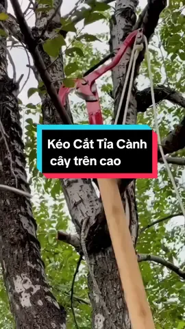 kéo cắt tỉa cành trên cao #cattiacanhcay #keotiacanh #keocatcanhcaytrencao #keocattiacanhcay #keocattiacanhtrencao 