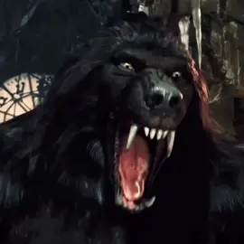 VAN HELSING || #vanhelsing #fyp #gabrielvanhelsing #alpha #werewolf #hughjackman #hughjackmanedit 