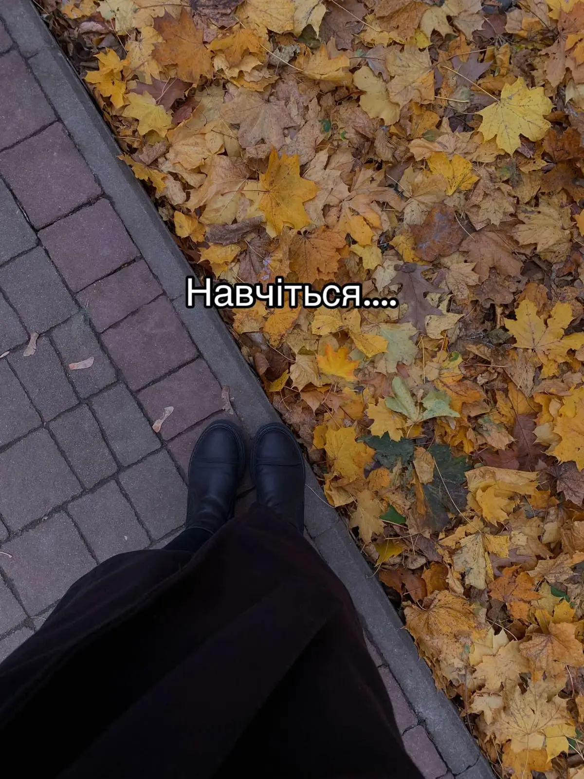 #цитати #цитатиукраїнською #луцьк #життя