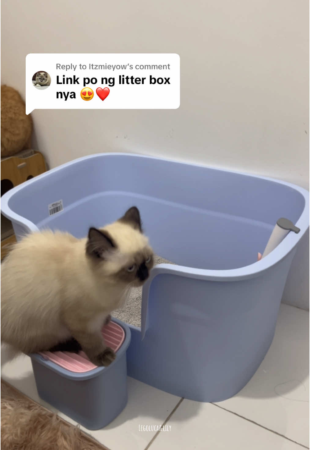 Replying to @Itzmieyow Cat Litter Box ProMax😆#lily #exohimalayan #catsoftiktok #fyp #catfinds #litterbox #catlitterbox 