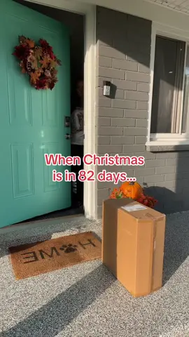 As soon as I saw these, I knew I had to buy them! These are so gorgeous and a lot prettier than I thought! These elevate any of your decorations, and feels so cozy and glamorous! ##creatorsearchinsights##tiktokshopholidayhaul##tiktokshopblackfriday##tiktokshopcybermonday##falldealsforyou##minimalist##sparkle##MomsofTikTok##christmastree##christmasdecor