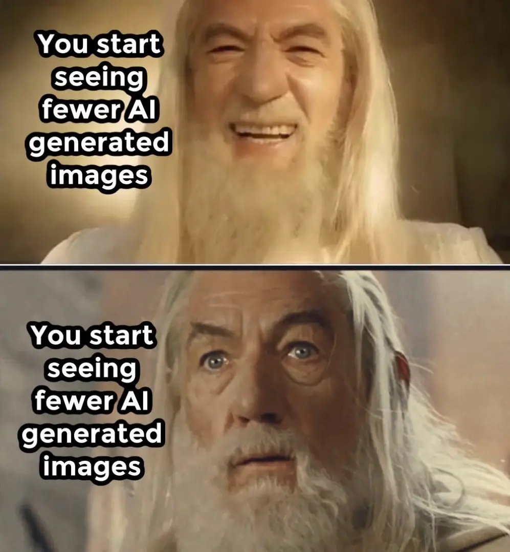 #gandalf #lordoftherings #memestiktok 