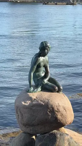 Copenhagen - Little Mermaid 🧜‍♀️🇩🇰🥰 The Little Mermaid (Danish Den lille Havfrue) is called a bronze figure on the Langelinie waterfront in Copenhagen. The figure sitting on a boulder is based on the fairy tale of the same name by the Danish poet Hans Christian Andersen. With a height of 125 cm, the work of art designed by Edvard Eriksen is considered one of the smallest landmarks in the world. —————————————— 🏞️ Location: Den lille Havfrue København Danmark —————————————— #mermanariel #mermaid #mermaids #meerjungfrau #siren #sirena #havfrue #denlillehavfrue #copenhagen #københavn #kopenhagen #denmark #danmark #dänemark #langelinie #statue #mermaidstatue #thelittlemermaid #littlemermaid #hcandersen #edvarderiksen #skulpture #meerjungfraustatue 