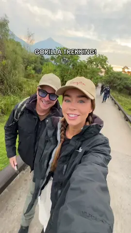 Come gorilla trekking with us! 🦍 #gorillatrekking #rwanda #singitakwitondalodge 