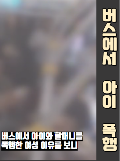 버스에서 아이와 할머니 폭행후 