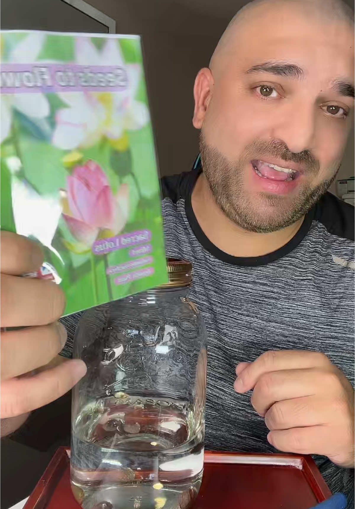 Skúšam naklíčiť semienka lotusových kvetov. Tu je postup ako na to 😅 #LotusFlowerSeeds #IndoorPlants #LotusovéKvety #VladimirFlitar  