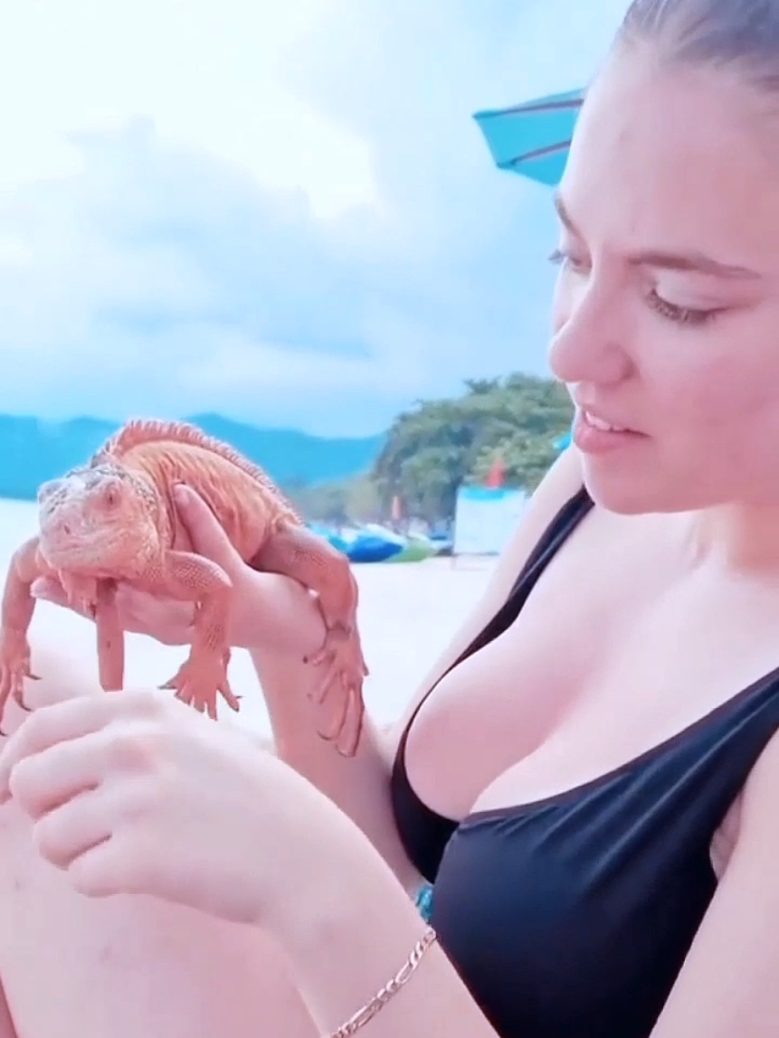 Throw back to when Allie Sherlock was chilling on a beach in Thailand with a lizard🦎...even the reptilians know about her big hits