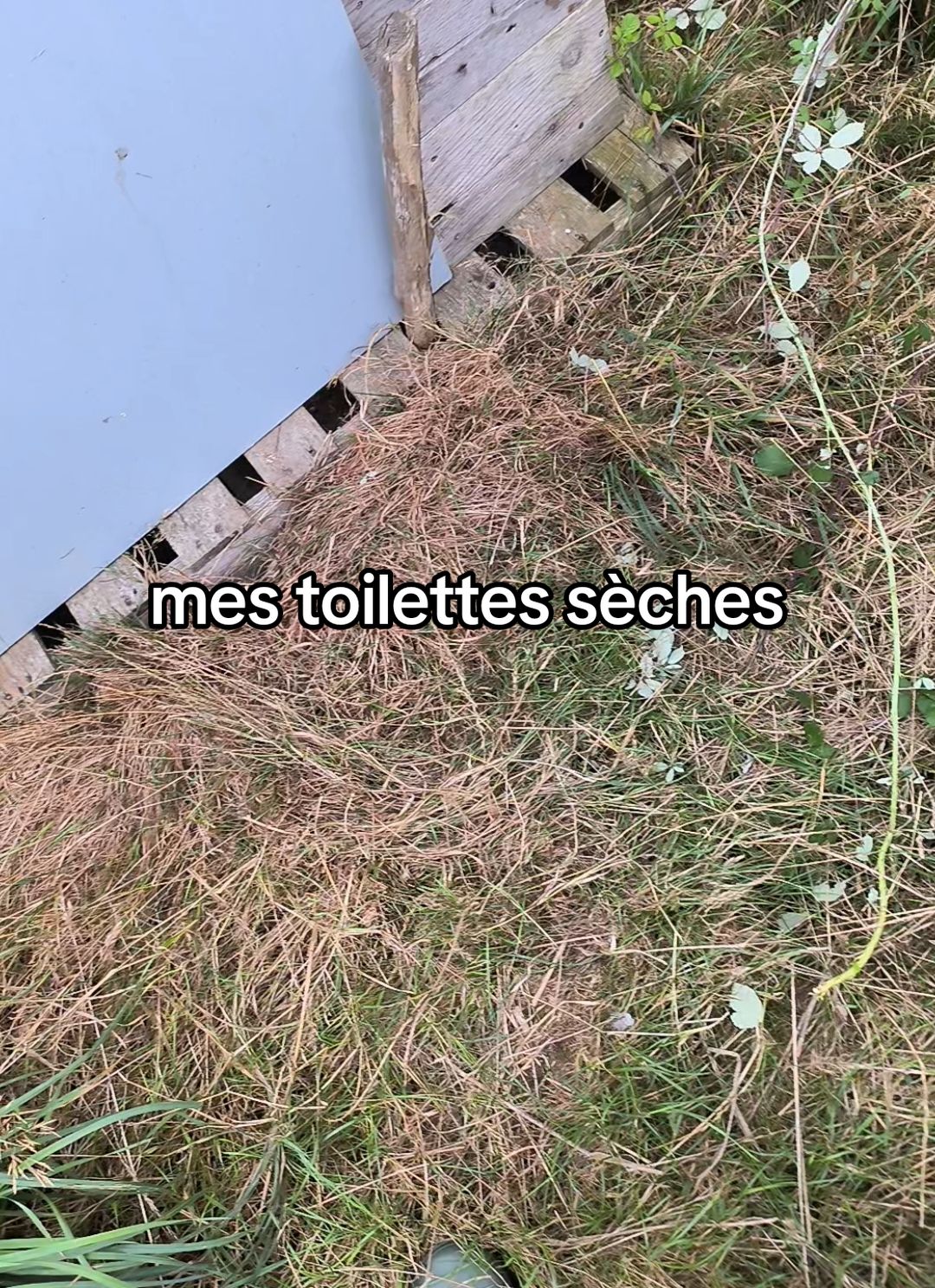 merci de ne pas se moquer en commentaire chacun a une vie différente ! #lufestyle #pov #Vlog #hygiène #wc #toilette 