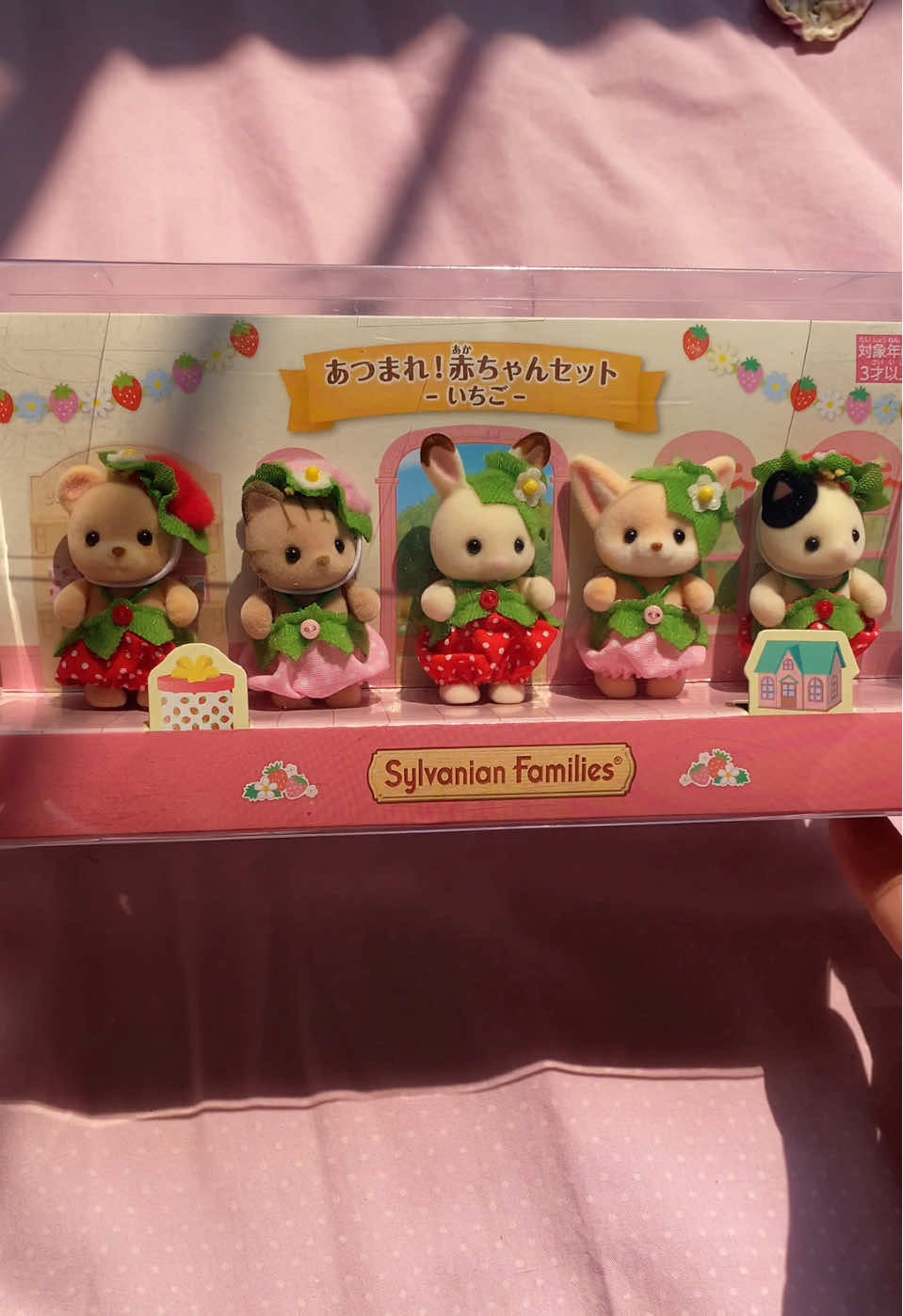 unboxing 🍓🌿🎀 . . #calicocritterstiktok #sylvanianfamilies #ternurines #calicocritters #sylvanianfamiliescollection #sylvanianfamiliestiktok #sylvaniancollection #ternurinesmylove