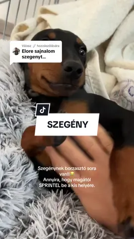 Válasz @🪽 részére El vagy tévedve csaje🤭